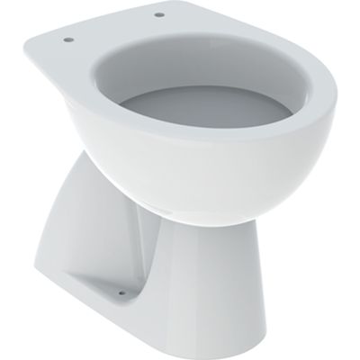 Geberit 500.856.00.1 - Inodoro de pie Colibrì con desagüe en el suelo