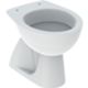 Geberit 500.856.00.1 - Colibrì floor-standing toilet with floor drain
