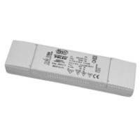iGuzzini 6993.00 - Fuente de alimentación de 20 W y 600 mA