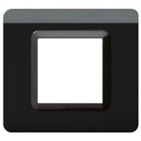 Serie 44 - Placa de tecnopolímero de 2 plazas, gris Tekla