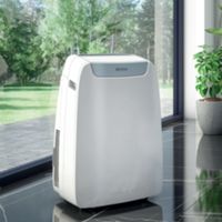 Aire acondicionado Olimpia Splendid Dolceclima Air Pro 13