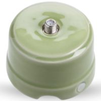 Simplex - toma de TV/satélite de porcelana verde