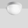 Prisma 302962 - Plafonnier LED DROP 25 10W blanc
