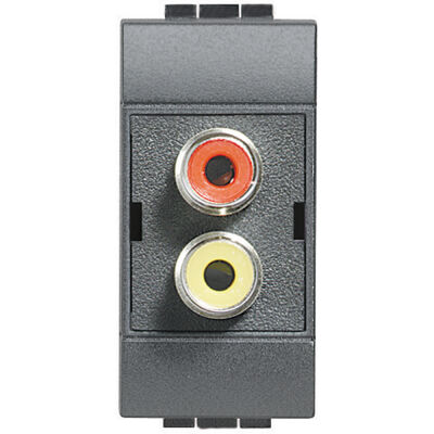 LivingLight Anthracite - double RCA module