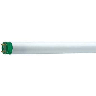 Tubo fluorescente lineare G13 32W 4000k MASTER TL-D Eco