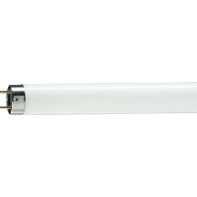Tubo fluorescente lineare G13 36W 5300k MASTER TL-D 90 De Luxe