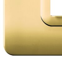 Series 44 - Technopolymer 44 plate in 7-place polished brass plastic