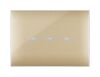Series 44 - Young Touch 3-place gold technopolymer plate