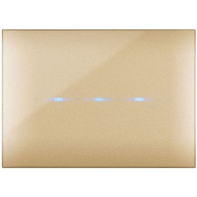 Series 44 - Young Touch 3-place gold technopolymer plate