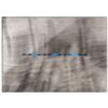 Series 44 - Young Touch 3-place 3D onyx technopolymer plate