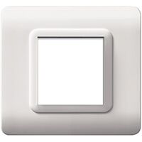 Series 44 - Technopolymer 44 plate in white RAL9010 2-place plastic